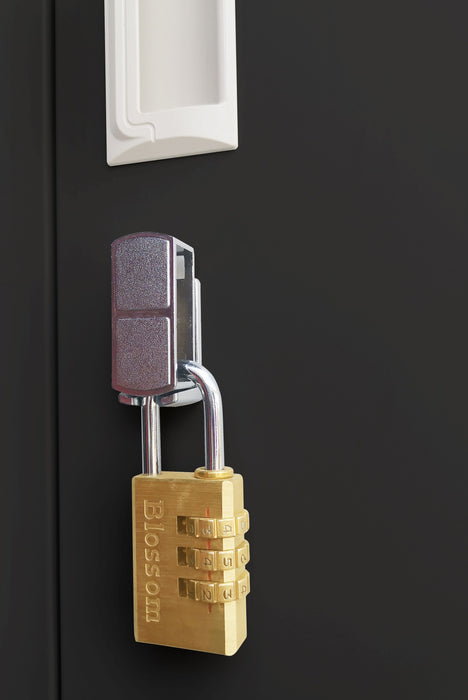 Padlock-operated Lock 6-Door Locker for Office Gym Shed School Home Storage Black