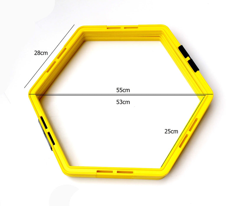 Fitness Agility Grid System